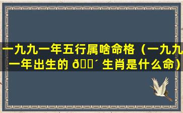 一九九一年五行属啥命格（一九九一年出生的 🐴 生肖是什么命）